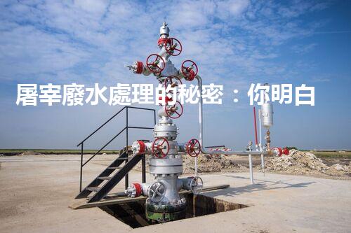 屠宰廢水處理的秘密：你明白那些污水如何變清？